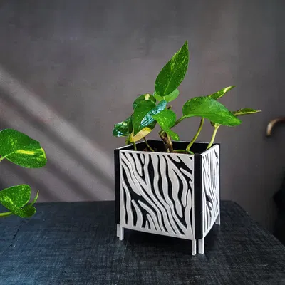 Chậu trồng cây trang trí nhà/ văn phòng với họa tiết tự nhiên