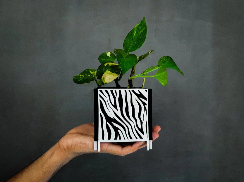 Chậu trồng cây trang trí nhà/ văn phòng với họa tiết tự nhiên - Image 6