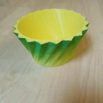 Bộ sưu tập chậu hoa đơn giản không cần hỗ trợ