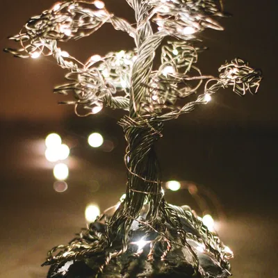 Công cụ uốn dây cho cây bonsai mini