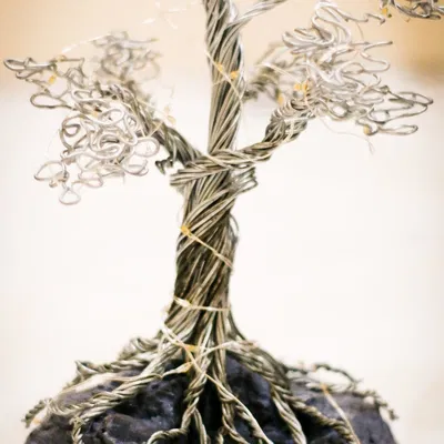 Công cụ uốn dây cho cây bonsai mini