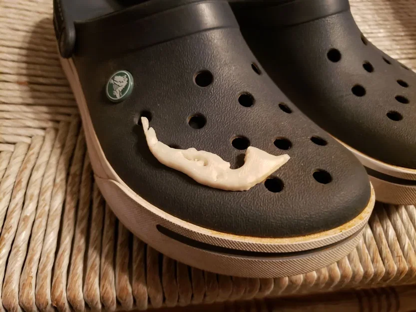 Charm Croc Hòn Đảo Sanibel tại Florida - Image 1