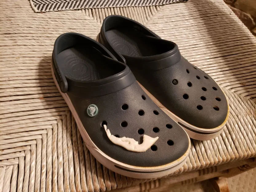 Charm Croc Hòn Đảo Sanibel tại Florida - Image 2