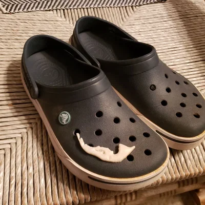 Charm Croc Hòn Đảo Sanibel tại Florida