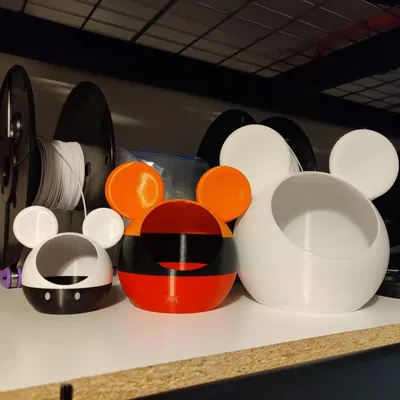 Chậu cây xương rồng hình chuột Mickey