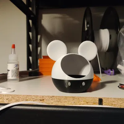 Chậu cây xương rồng hình chuột Mickey