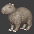 Bạn đồng hành Capybara trong loạt mô hình thú cưng - Thumbnail 2