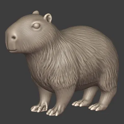 Bạn đồng hành Capybara trong loạt mô hình thú cưng