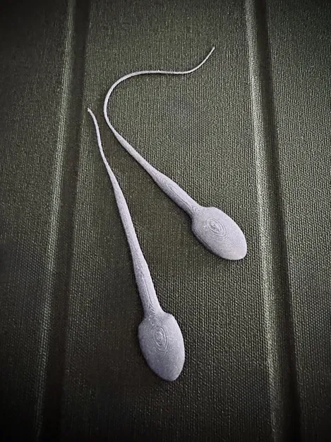 Mô hình tinh trùng STL in nhanh với chi tiết đuôi sắc nét - Image 1