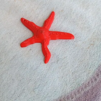 Mô hình trang trí STELLA MARINA cho mùa hè