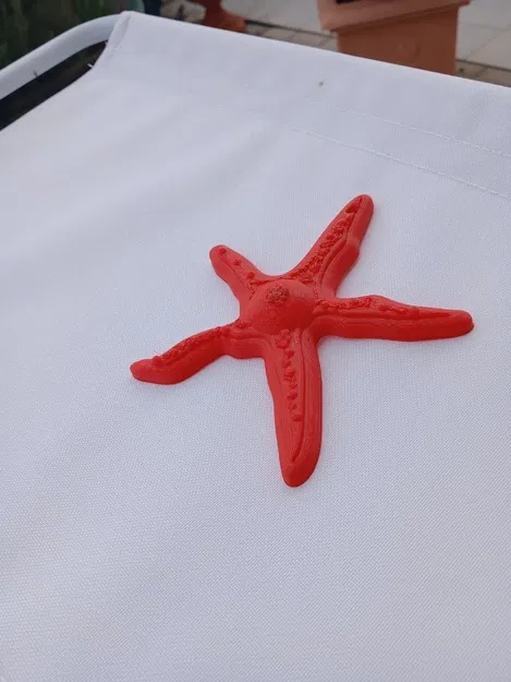 Mô hình trang trí STELLA MARINA cho mùa hè - Image 2