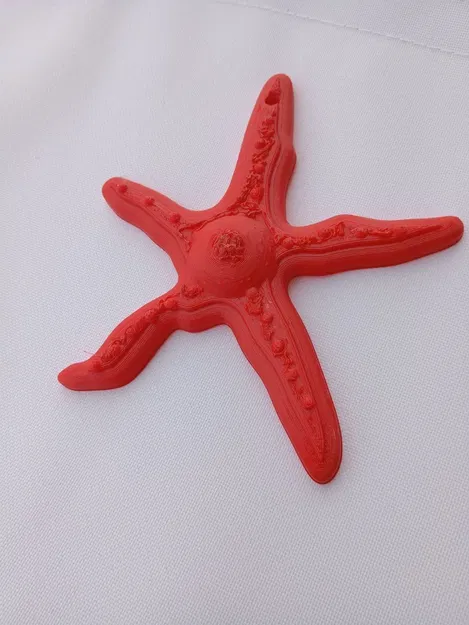 Mô hình trang trí STELLA MARINA cho mùa hè - Image 3