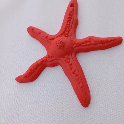 Mô hình trang trí STELLA MARINA cho mùa hè