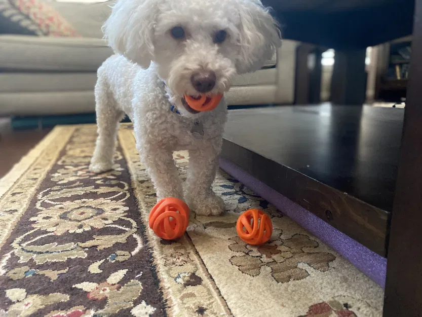 Rào chắn bằng bọt hồ bơi cho đồ chơi và bóng - Image 1