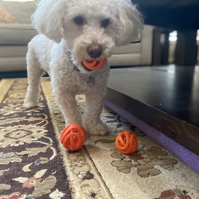 Rào chắn bằng bọt hồ bơi cho đồ chơi và bóng