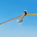 Máy bay không người lái ScanEagle của Boeing Insitu - Thumbnail 1