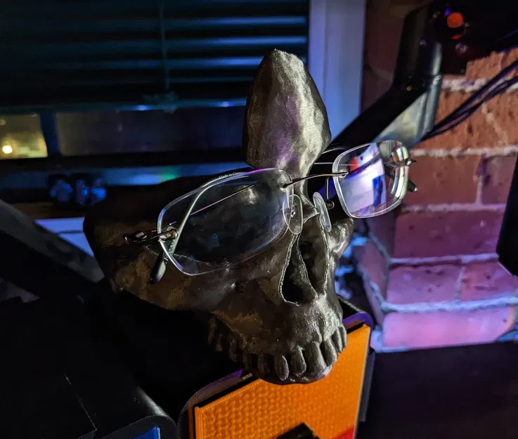 Giá đỡ kính hình đầu lâu cho hệ thống lưu trữ Slotty - Image 1