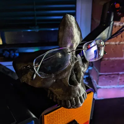 Giá đỡ kính hình đầu lâu cho hệ thống lưu trữ Slotty