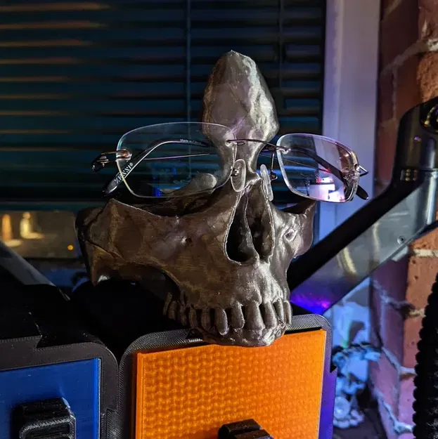 Giá đỡ kính hình đầu lâu cho hệ thống lưu trữ Slotty - Image 2