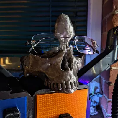 Giá đỡ kính hình đầu lâu cho hệ thống lưu trữ Slotty