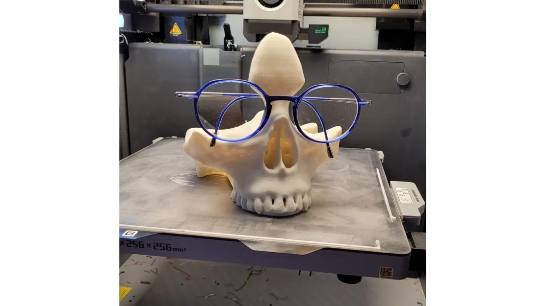 Giá đỡ kính mắt hình sọ cho máy in 3D - Image 1