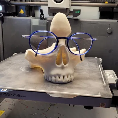 Giá đỡ kính mắt hình sọ cho máy in 3D