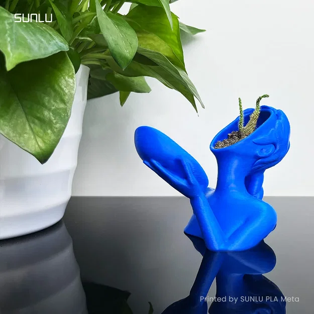 Chậu hoa nghệ thuật SUNLU dành cho in 3D - Image 1