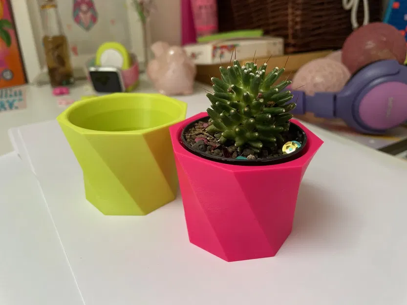 Chậu hoa xương rồng nhỏ xinh cho cây cảnh - Image 1