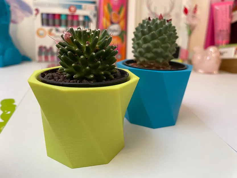 Chậu hoa xương rồng nhỏ xinh cho cây cảnh - Image 4