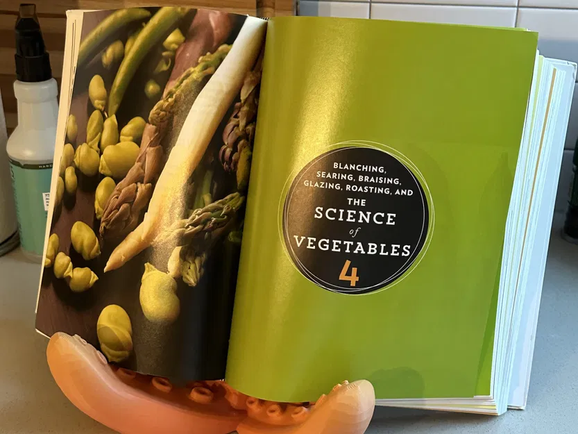 Giá đỡ tentacle cho iPad, sách và hình ảnh - Image 2