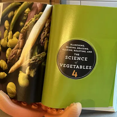 Giá đỡ tentacle cho iPad, sách và hình ảnh