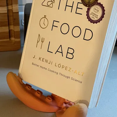 Giá đỡ tentacle cho iPad, sách và hình ảnh