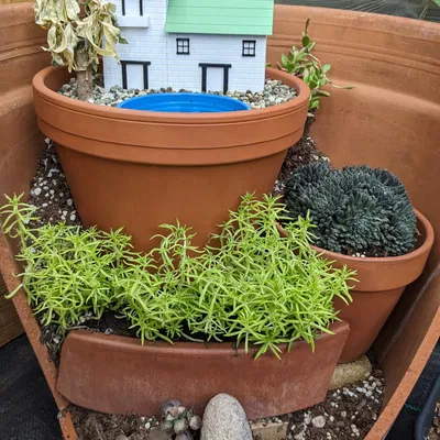 Nhà tranh cho dự án trang trí chậu cây