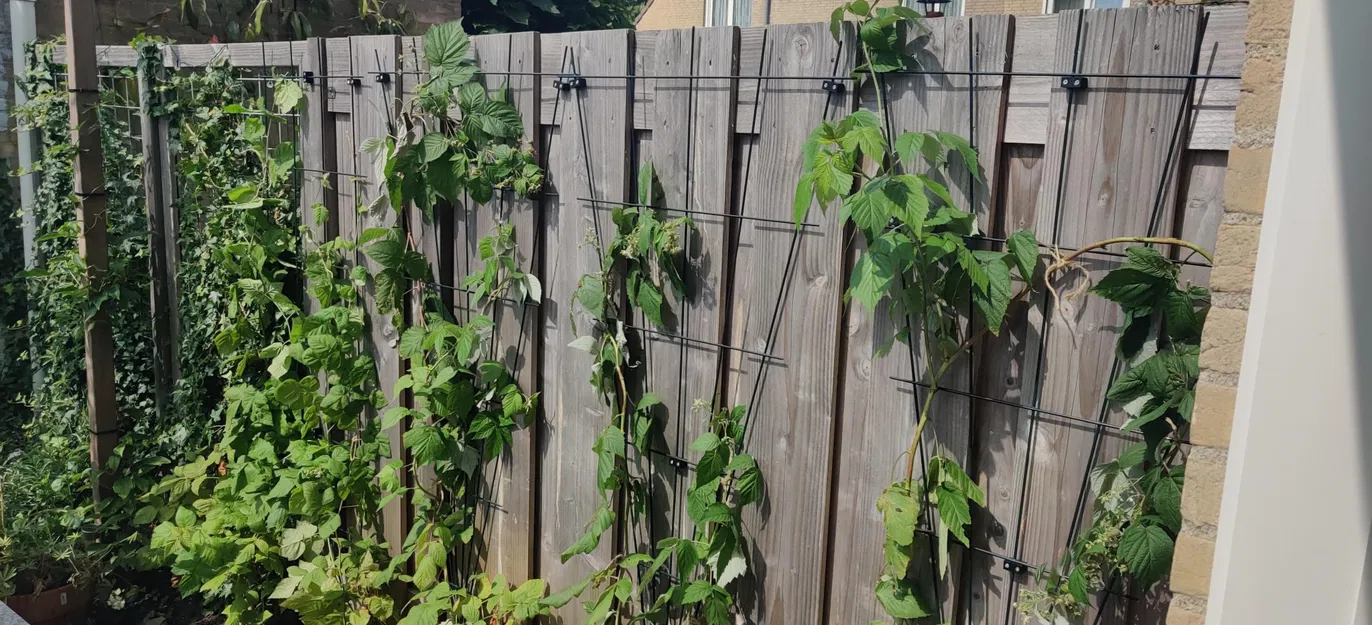 Giá đỡ cho cây hỗ trợ dây 5mm với ốc vít 3,5cm x 3mm - Image 1