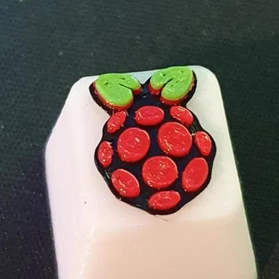 Núm phím Raspberry Pi in màu Trắng - Đen - Đỏ - Xanh