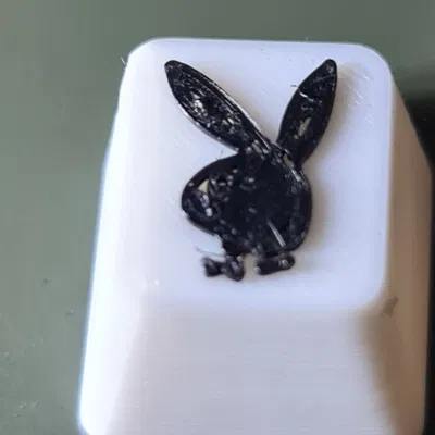 Núm phím Playboy in màu trắng và đen