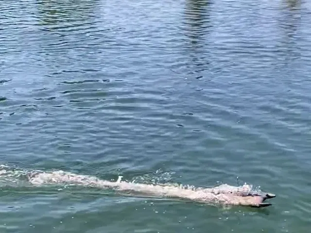 Bơm Jet cho thuyền RC với động cơ 2212/2216/2217/2440 - Image 3