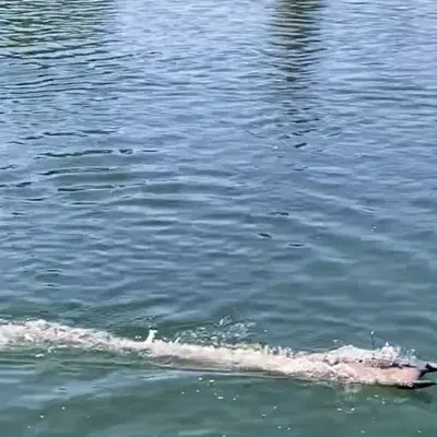 Bơm Jet cho thuyền RC với động cơ 2212/2216/2217/2440