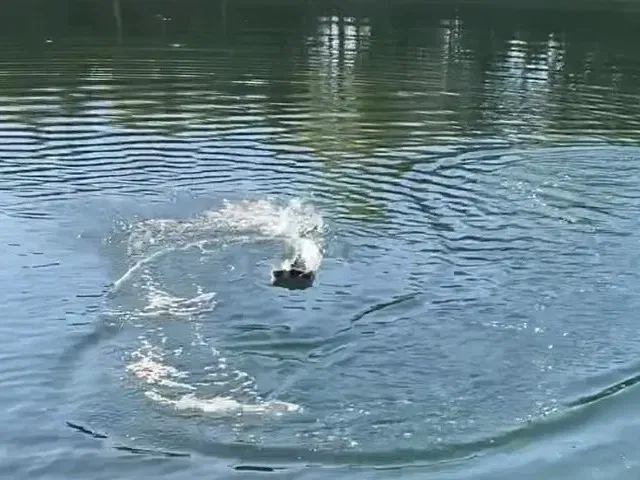 Bơm Jet cho thuyền RC với động cơ 2212/2216/2217/2440 - Image 4