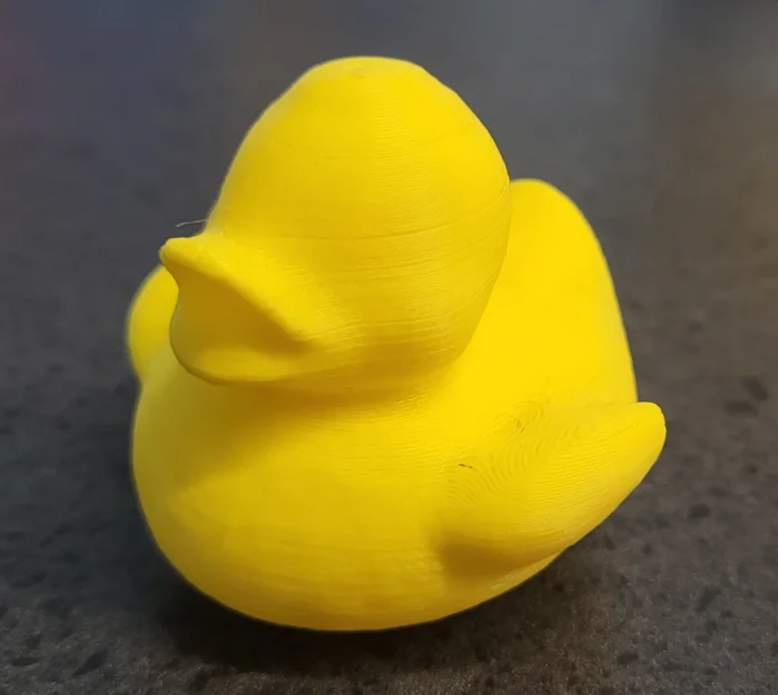 Vịt Mr. Quackers - Linh vật của Makerspace tại WSPL - Image 1