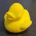 Vịt Mr. Quackers - Linh vật của Makerspace tại WSPL - Thumbnail 1