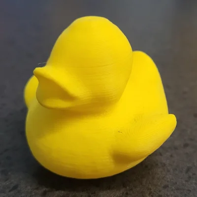 Vịt Mr. Quackers - Linh vật của Makerspace tại WSPL