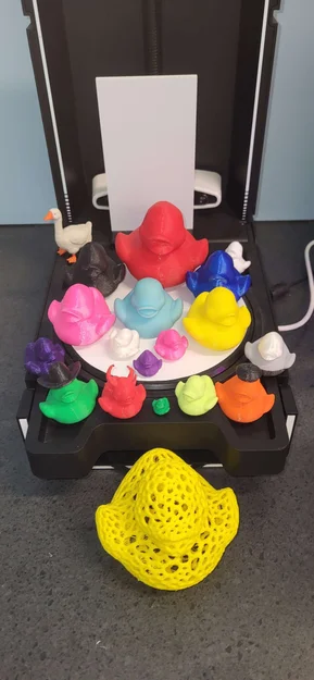 Vịt Mr. Quackers - Linh vật của Makerspace tại WSPL - Image 2