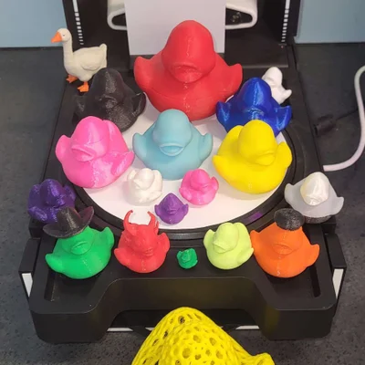 Vịt Mr. Quackers - Linh vật của Makerspace tại WSPL