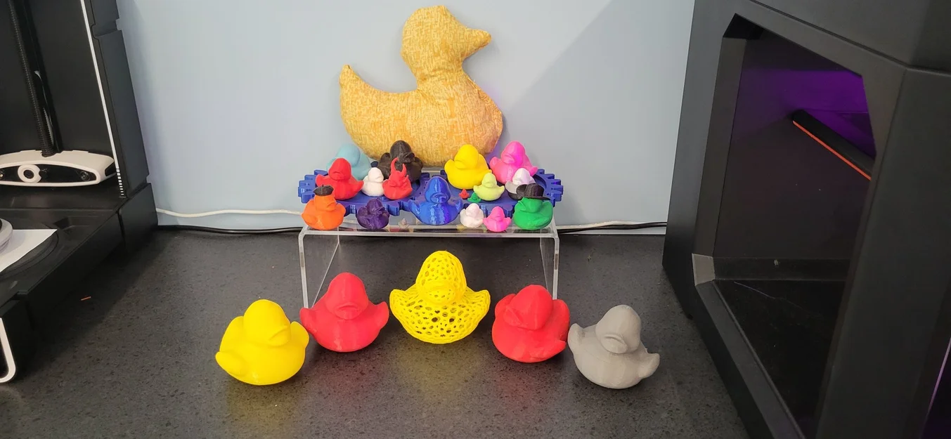 Vịt Mr. Quackers - Linh vật của Makerspace tại WSPL - Image 3