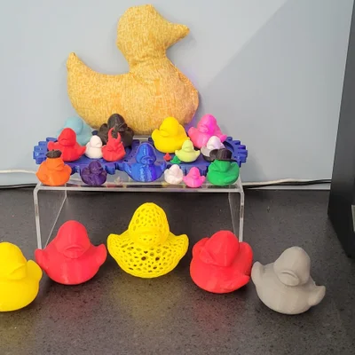 Vịt Mr. Quackers - Linh vật của Makerspace tại WSPL