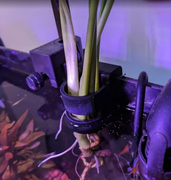 Giá treo cây cho bể cá không viền 4-7mm - Image 1