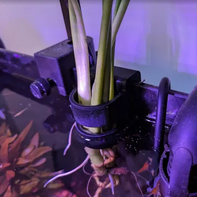 Giá treo cây cho bể cá không viền 4-7mm