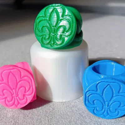 Vòng khăn quàng cổ VCP Wagggs với biểu tượng fleur de lis và tre...