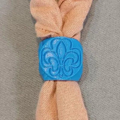 Vòng khăn quàng cổ VCP Wagggs với biểu tượng fleur de lis và tre...